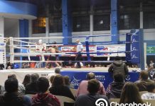 festival-boxeo