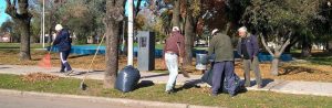 OTOÑO TRABAJOS PLAZA