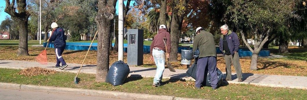 otono-trabajos-plaza