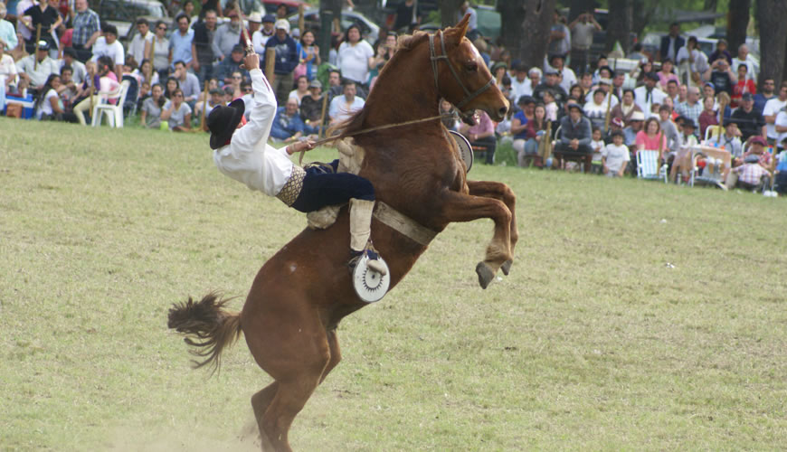 fiesta-del-caballo