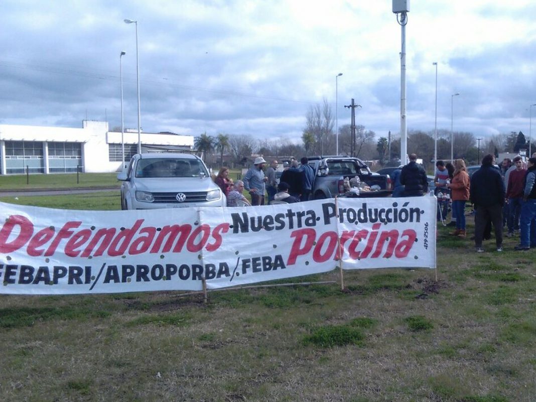 productores-porcinos