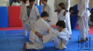 judo015